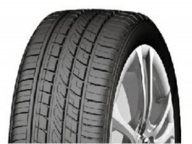 Fortune FSR 303 BSW